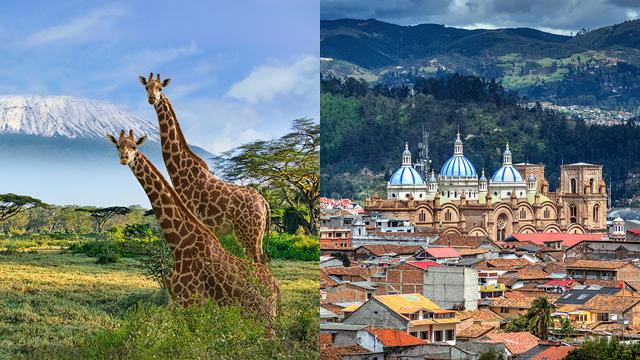 左:厄瓜多尔的一座城市右:两只长颈鹿
